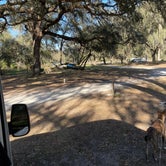 Review photo of Green Swamp — West Tract by Abby M., January 29, 2021