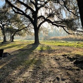 Review photo of Green Swamp — West Tract by Abby M., January 29, 2021