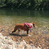 Review photo of Sandbar Area Campsites — Cossatot River State Park - Natural Area by Ana A., May 28, 2018