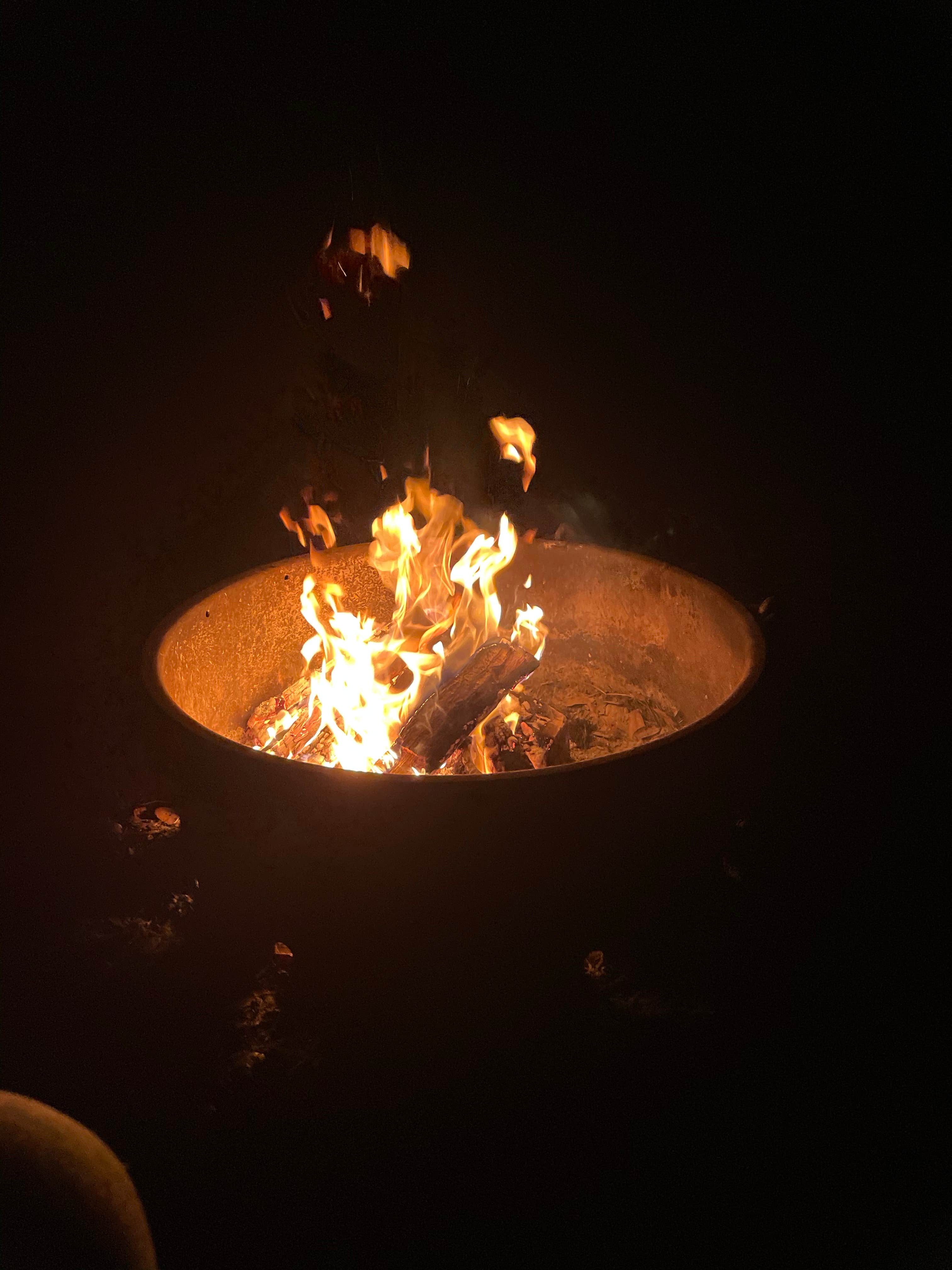 Camping near Green Swamp — East Tract: Green Swamp — West Tract, Dade City, Florida