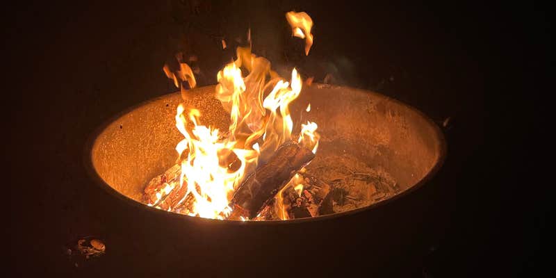 Camper submitted image from Green Swamp — West Tract