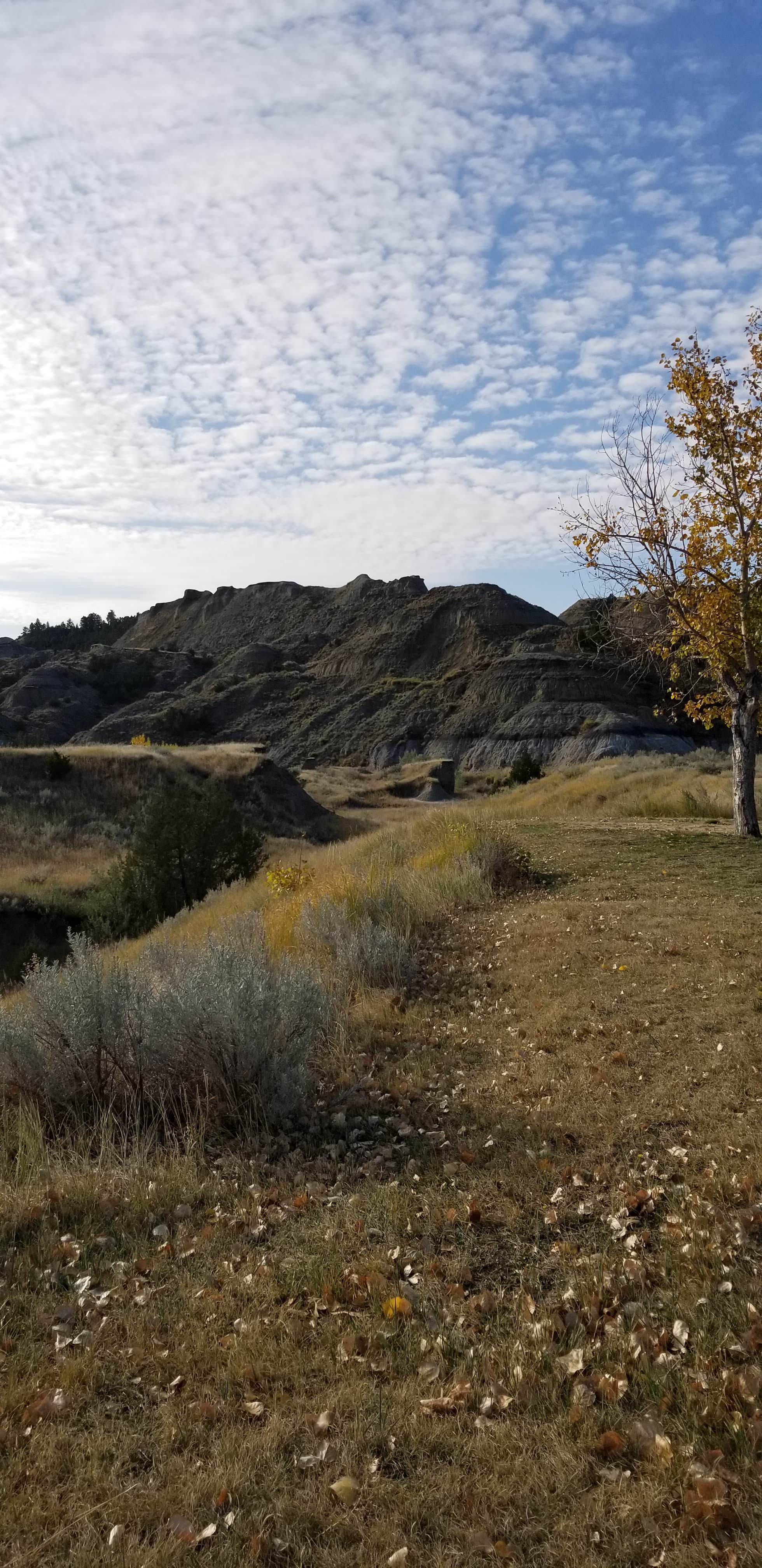 Camper-submitted photo at Makoshika State Park Campground in Montana