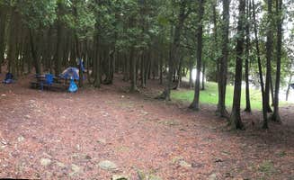 Karnpal C.'s photo of tent camping at Rock Island State Park Campground in Wisconsin