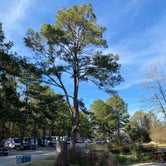 Review photo of Tallahassee RV Park by Alyssa S., January 30, 2021