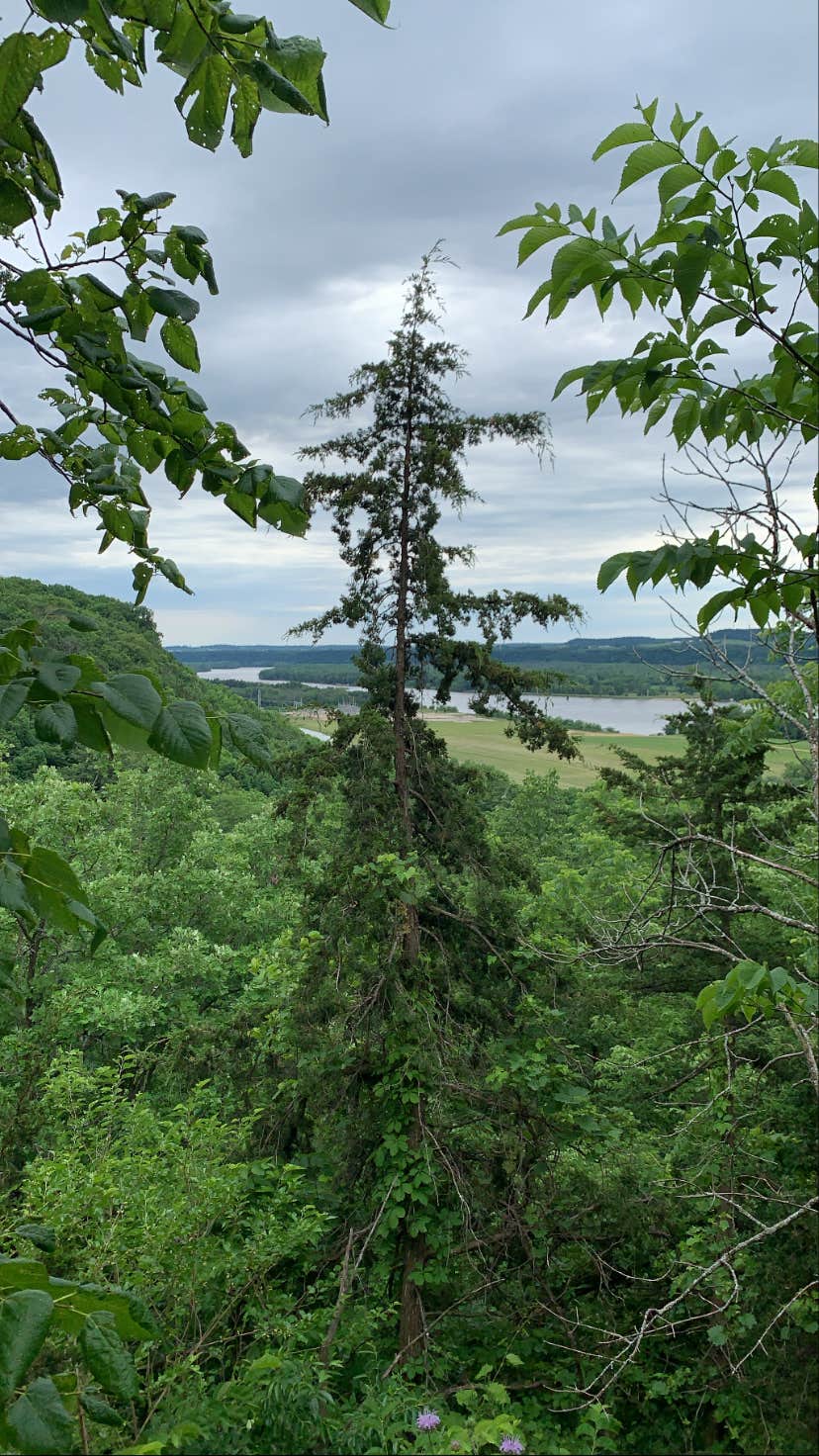 Camper-submitted photo at Nelson Dewey State Park Campground near Prairie du Chien, WI