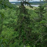 Review photo of Nelson Dewey State Park Campground by Karnpal C., January 30, 2021