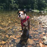 Review photo of Sandbar Area Campsites — Cossatot River State Park - Natural Area by Ana A., May 28, 2018