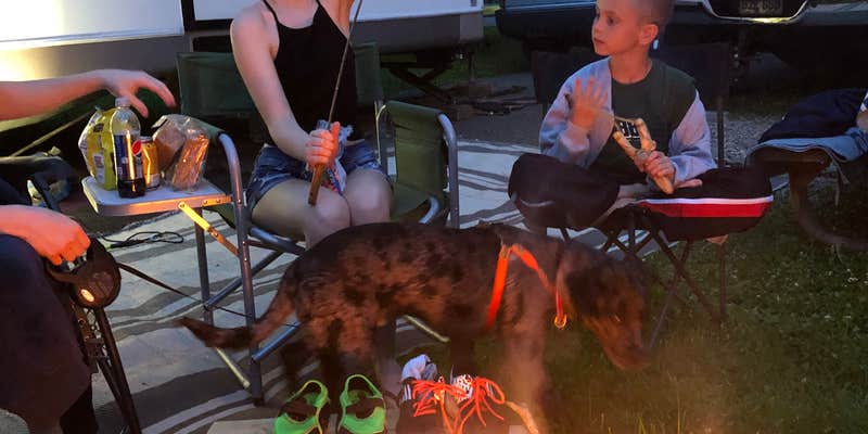 Camper submitted image from Tea Creek Campground