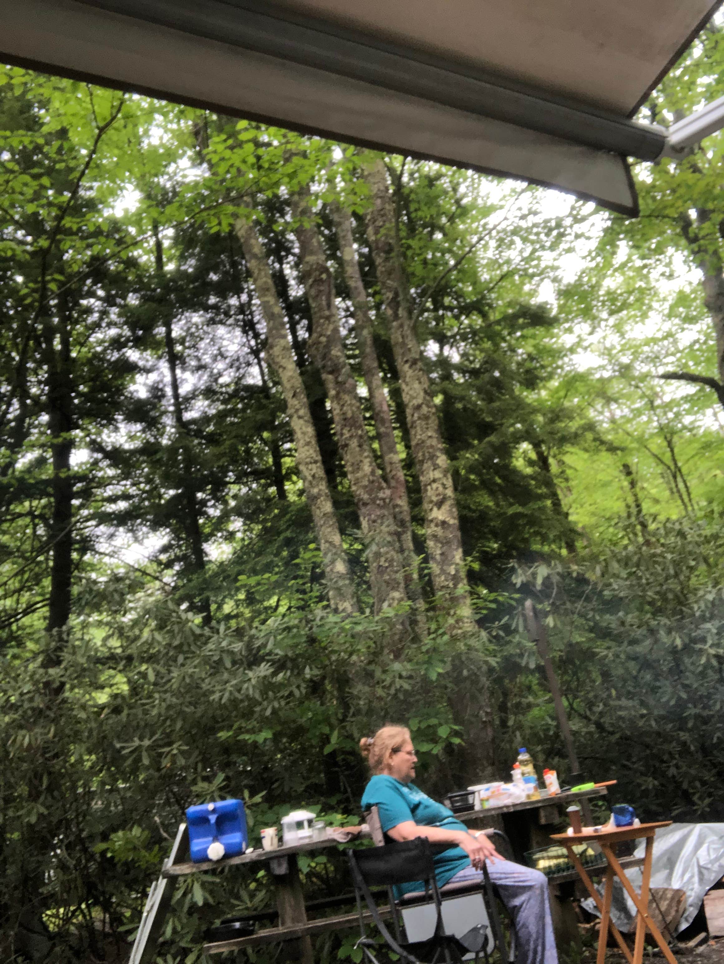 Tea Creek Campground The Dyrt