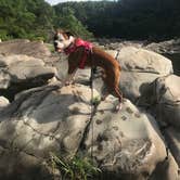 Review photo of Sandbar Area Campsites — Cossatot River State Park - Natural Area by Ana A., May 28, 2018