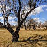 Review photo of Muleshoe Bend - Lake Travis by Shari  G., January 31, 2021