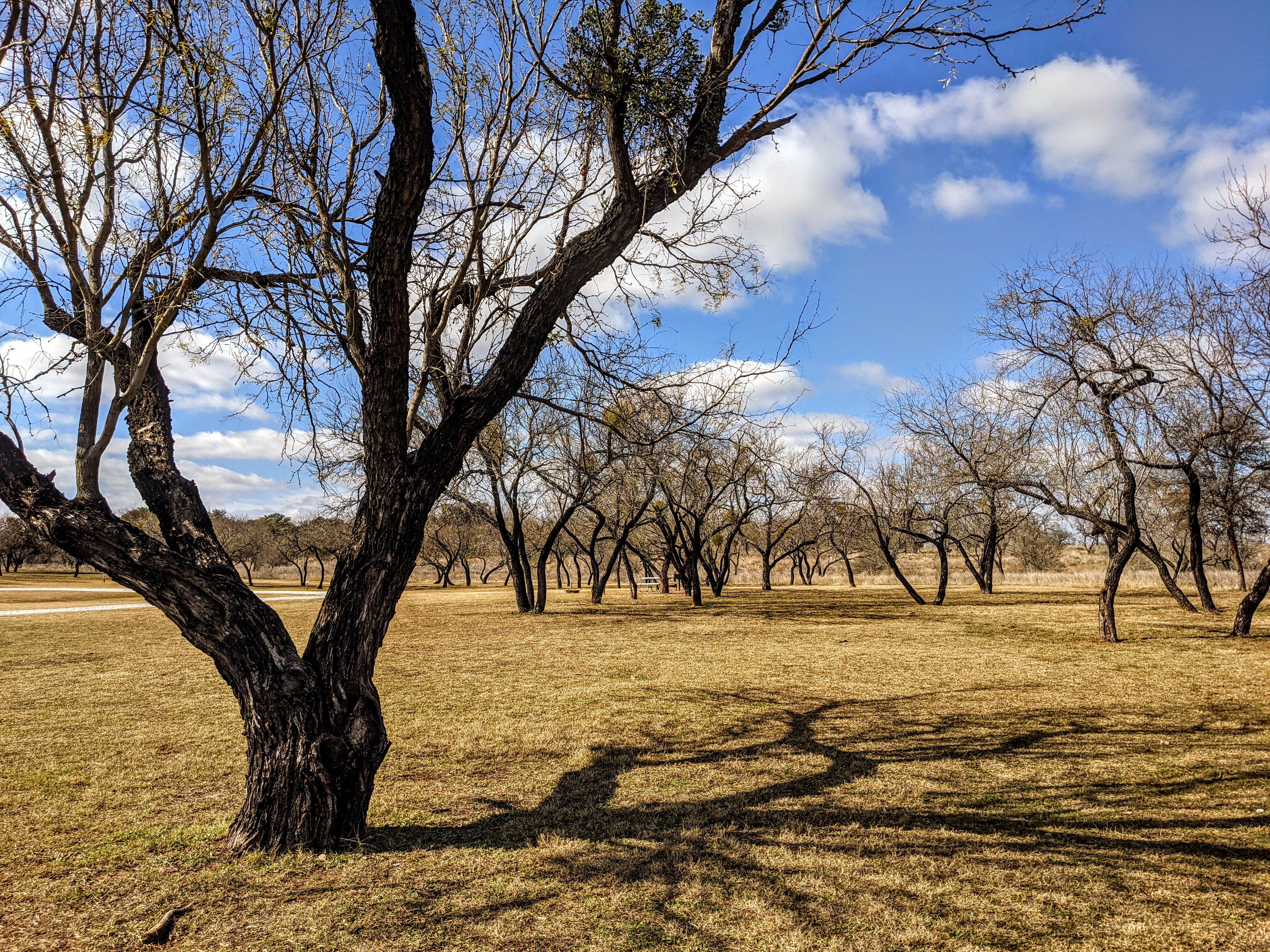 Camper submitted image from Muleshoe Bend - Lake Travis - 2