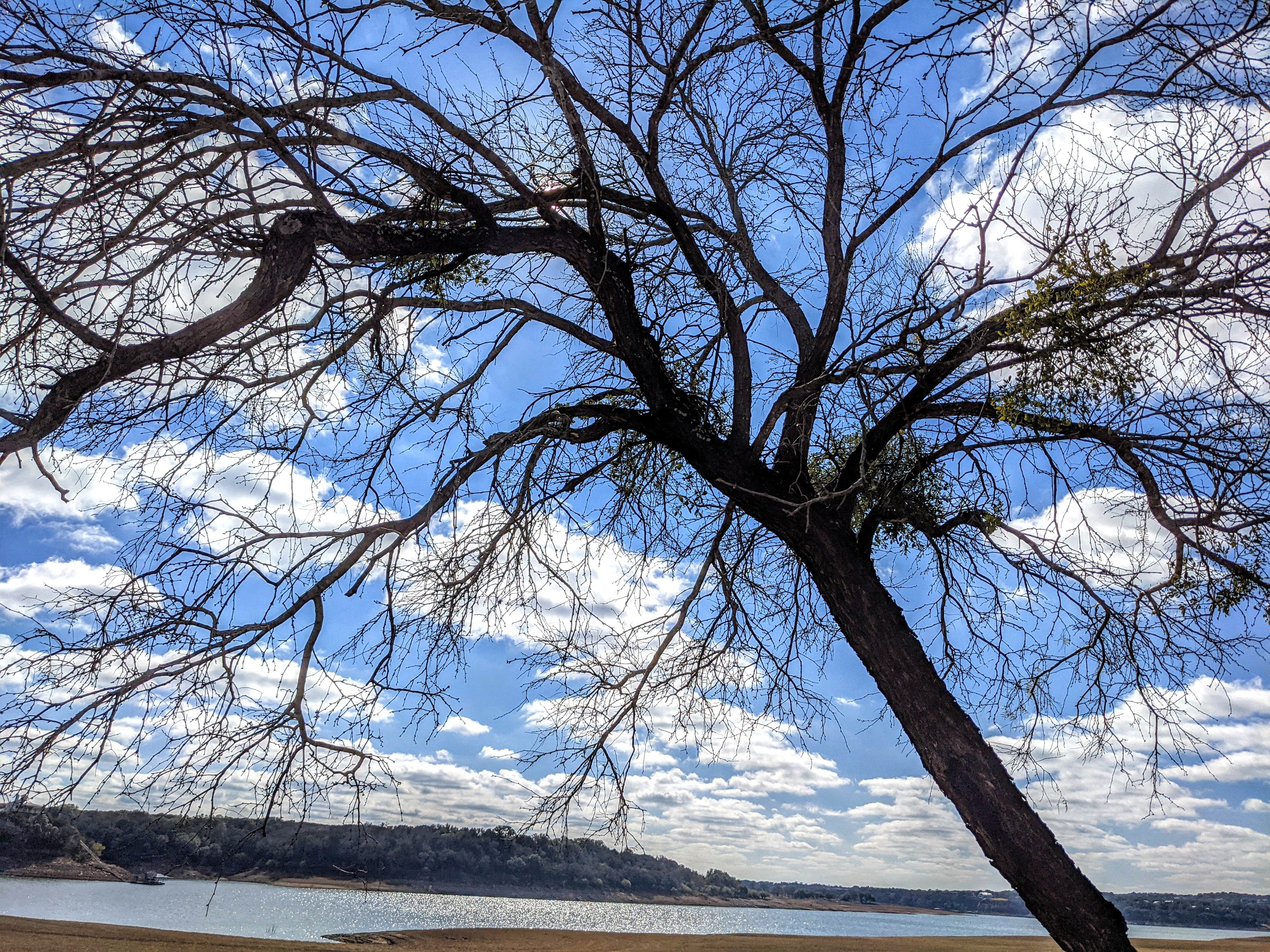 Camper-submitted photo at Muleshoe Bend - Lake Travis near Leander, TX