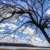 Review photo of Muleshoe Bend - Lake Travis by Shari  G., January 31, 2021