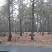 Review photo of Crossett RV Park by Steve S., January 31, 2021