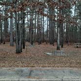 Review photo of Crossett RV Park by Steve S., January 31, 2021