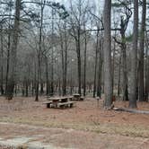 Review photo of Crossett RV Park by Steve S., January 31, 2021