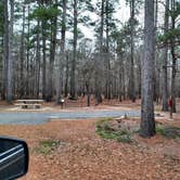 Review photo of Crossett RV Park by Steve S., January 31, 2021