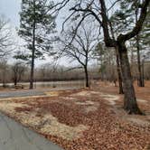 Review photo of Crossett RV Park by Steve S., January 31, 2021