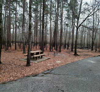 Camper-submitted photo from Crossett RV Park