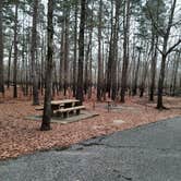 Review photo of Crossett RV Park by Steve S., January 31, 2021