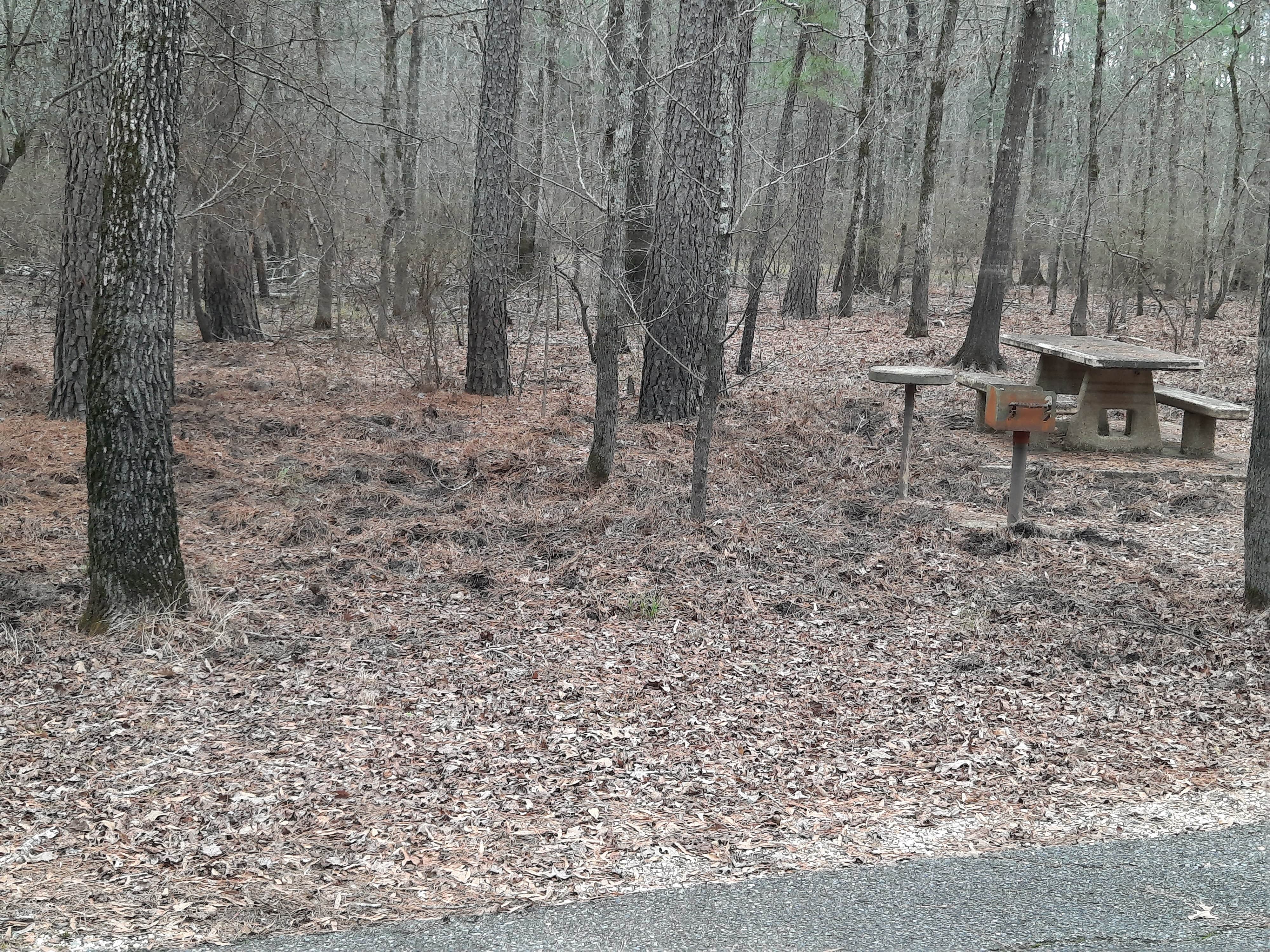 Camper-submitted photo at Crossett RV Park near Jersey, AR