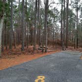 Review photo of Crossett RV Park by Steve S., January 31, 2021