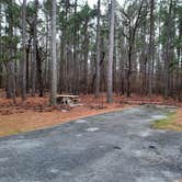 Review photo of Crossett RV Park by Steve S., January 31, 2021