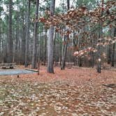 Review photo of Crossett RV Park by Steve S., January 31, 2021