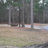 Review photo of Crossett RV Park by Steve S., January 31, 2021