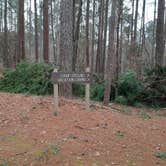 Review photo of Lake D'Arbonne State Park — New Lake D'arbonne State Park by Steve S., January 31, 2021