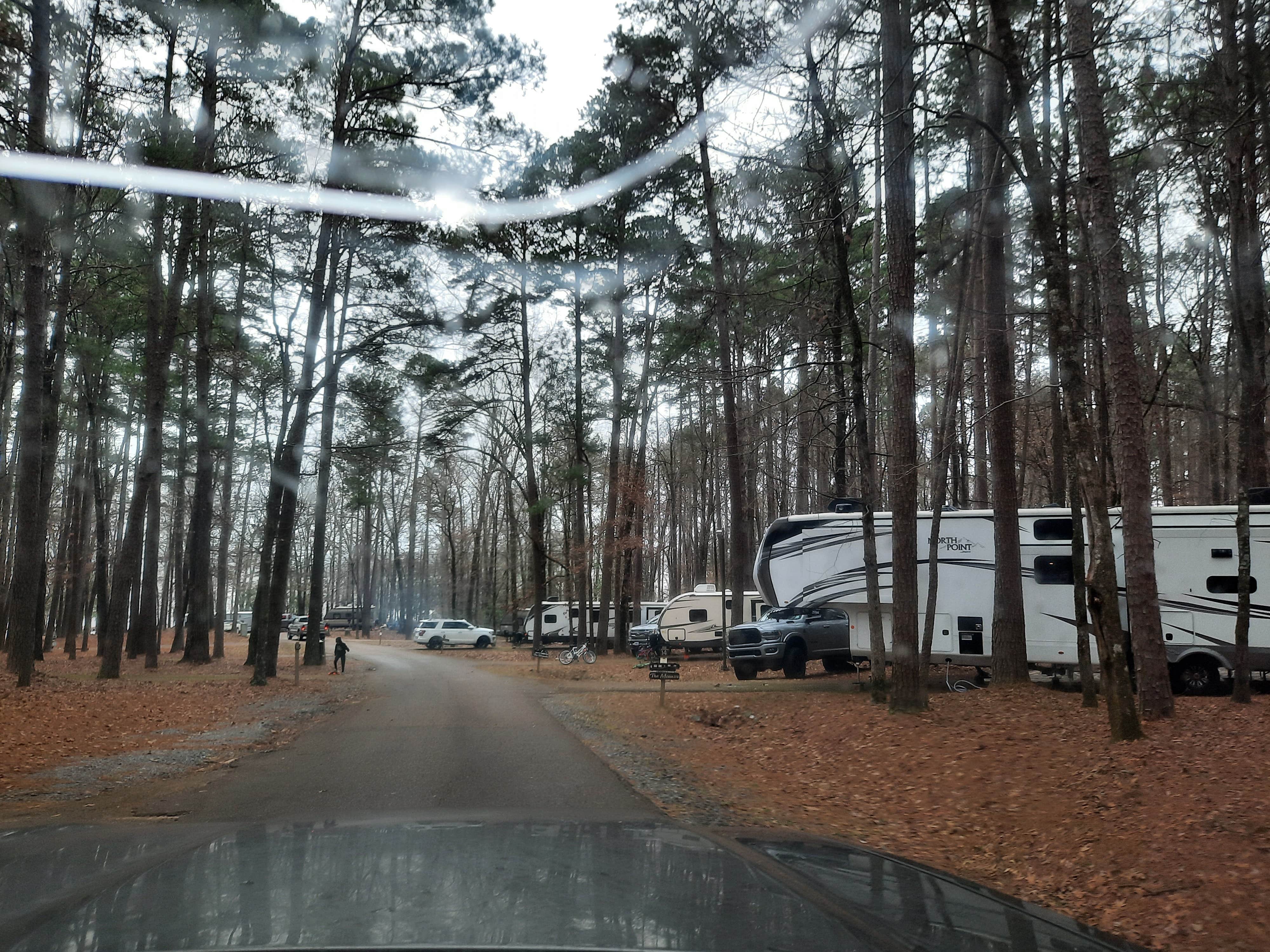 Steve S.'s photo of rv camping at Lake D'Arbonne State Park — New Lake D'arbonne State Park near Jersey, AR