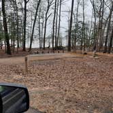 Review photo of Lake D'Arbonne State Park — New Lake D'arbonne State Park by Steve S., January 31, 2021