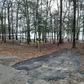 Review photo of Lake D'Arbonne State Park — New Lake D'arbonne State Park by Steve S., January 31, 2021