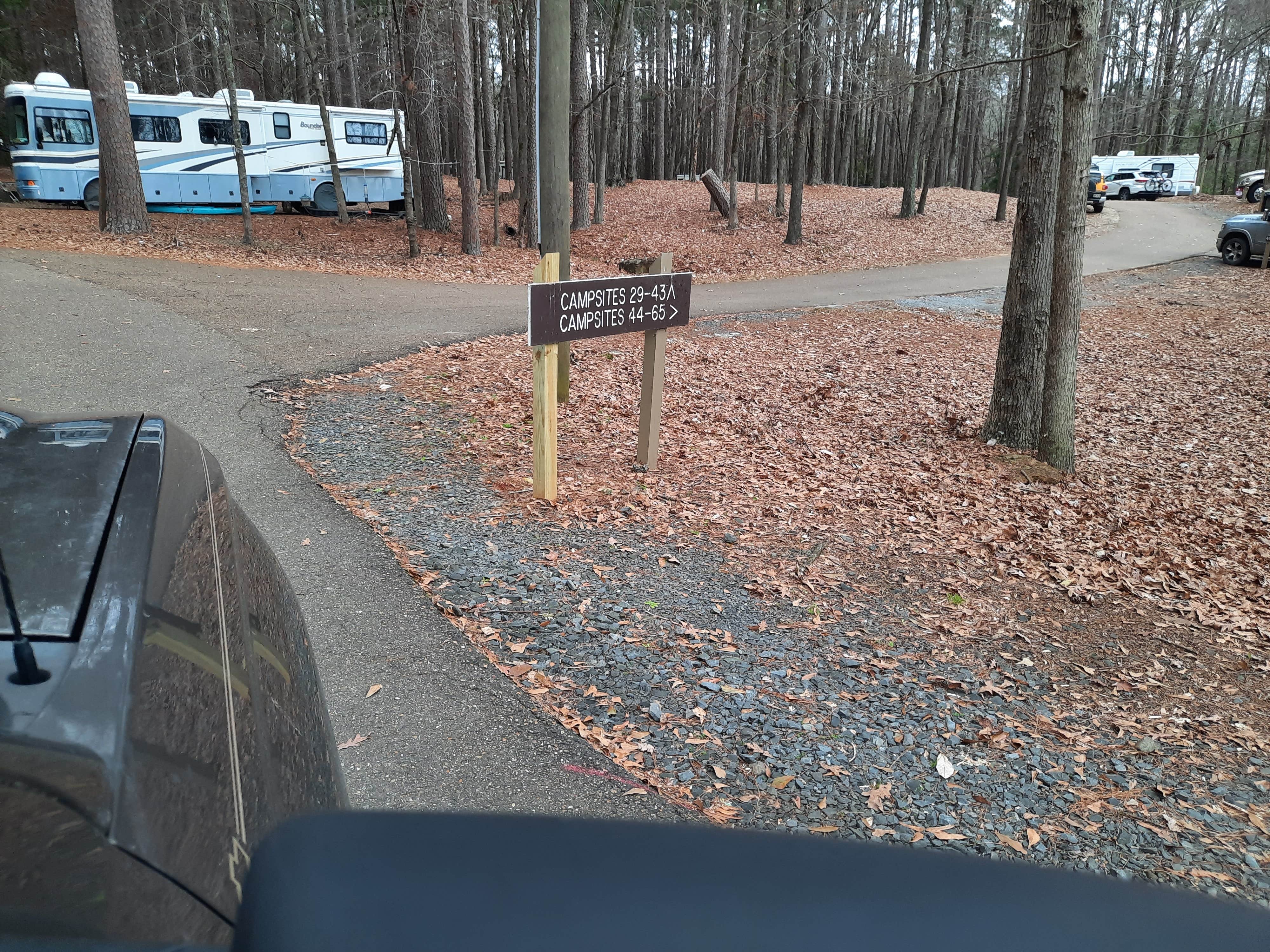 Steve S.'s photo of rv camping at Lake D'Arbonne State Park — New Lake D'arbonne State Park near Fairbanks, LA