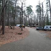 Review photo of Lake D'Arbonne State Park — New Lake D'arbonne State Park by Steve S., January 31, 2021