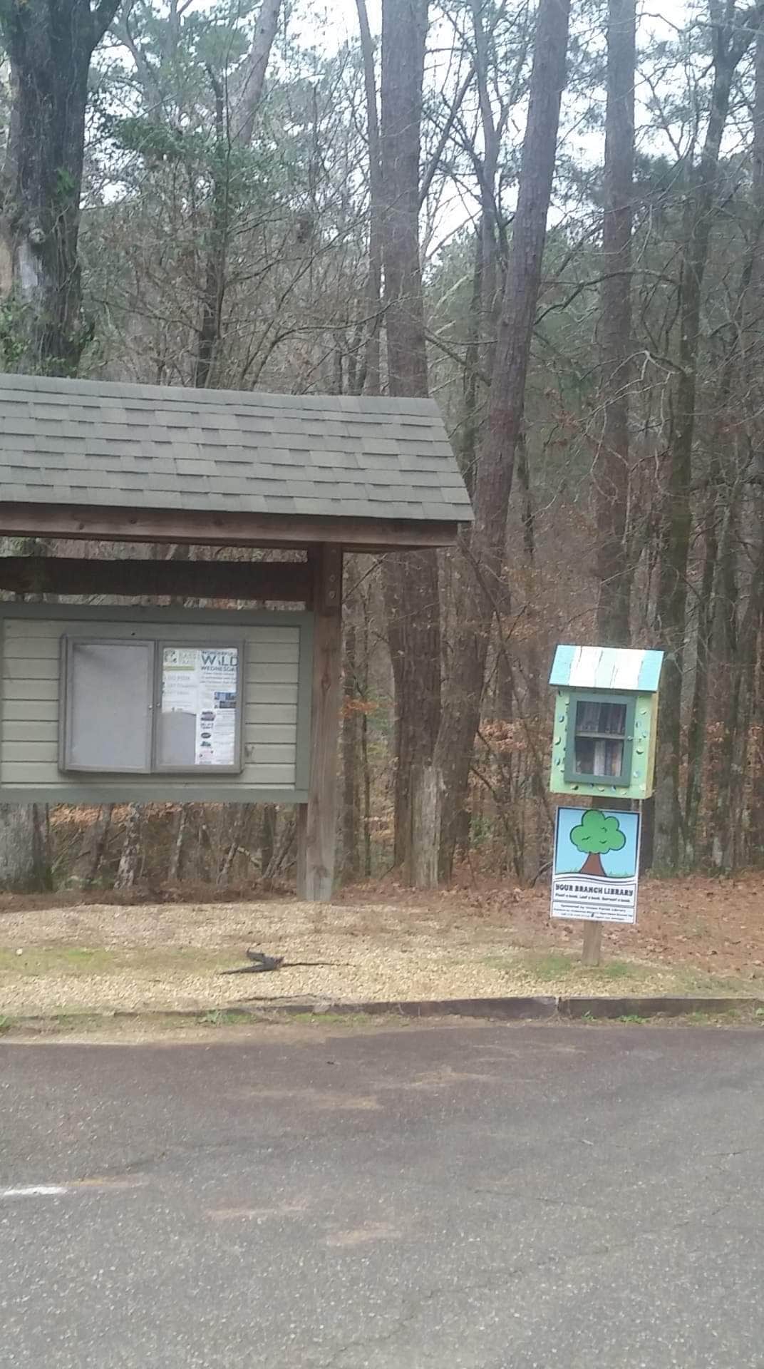 Steve S.'s photo of glamping accommodations at Lake D'Arbonne State Park — New Lake D'arbonne State Park near Junction City, AR