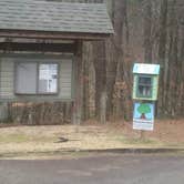 Review photo of Lake D'Arbonne State Park — New Lake D'arbonne State Park by Steve S., January 31, 2021