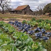 Review photo of Gillespie County Safety Rest Area near Lyndon B Johnson State Park Campground by Shari  G., January 31, 2021