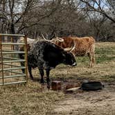Review photo of Gillespie County Safety Rest Area near Lyndon B Johnson State Park Campground by Shari  G., January 31, 2021