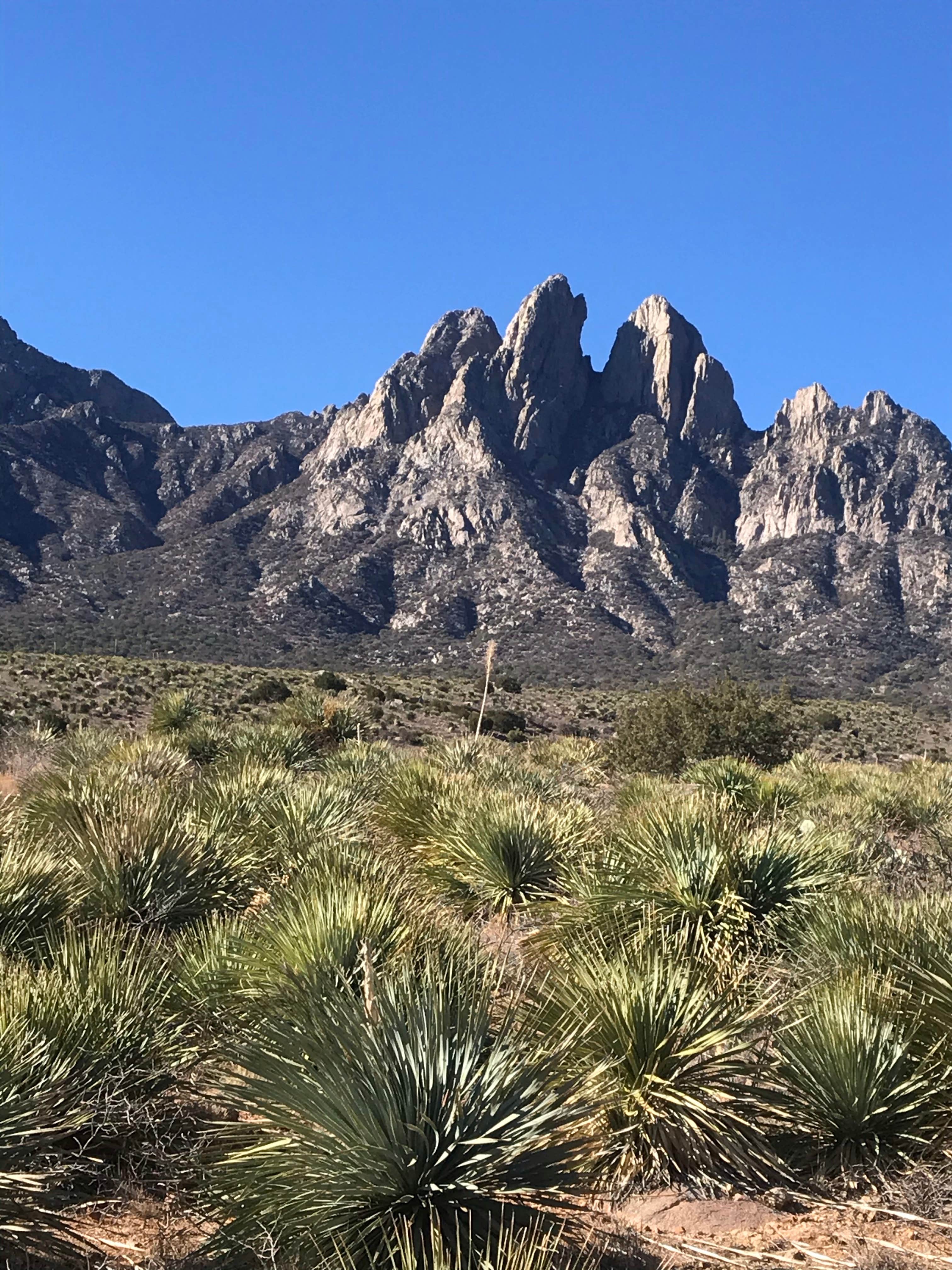 Camper-submitted photo at Aguirre Spring Recreation Area and Campground in New Mexico