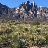 Review photo of Aguirre Spring Recreation Area and Campground by Lisa S., January 31, 2021