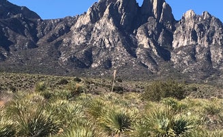 Camper-submitted photo from Aguirre Spring Recreation Area and Campground