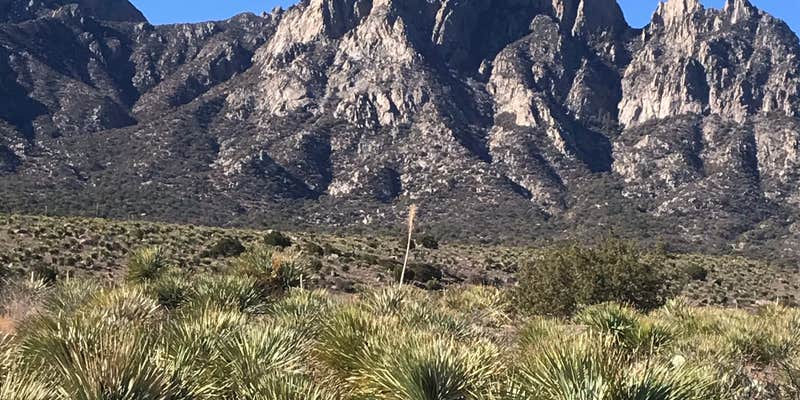 Camper submitted image from Aguirre Spring Recreation Area and Campground