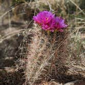 Review photo of Basin Campground — Kodachrome Basin State Park by Angela G., January 31, 2021