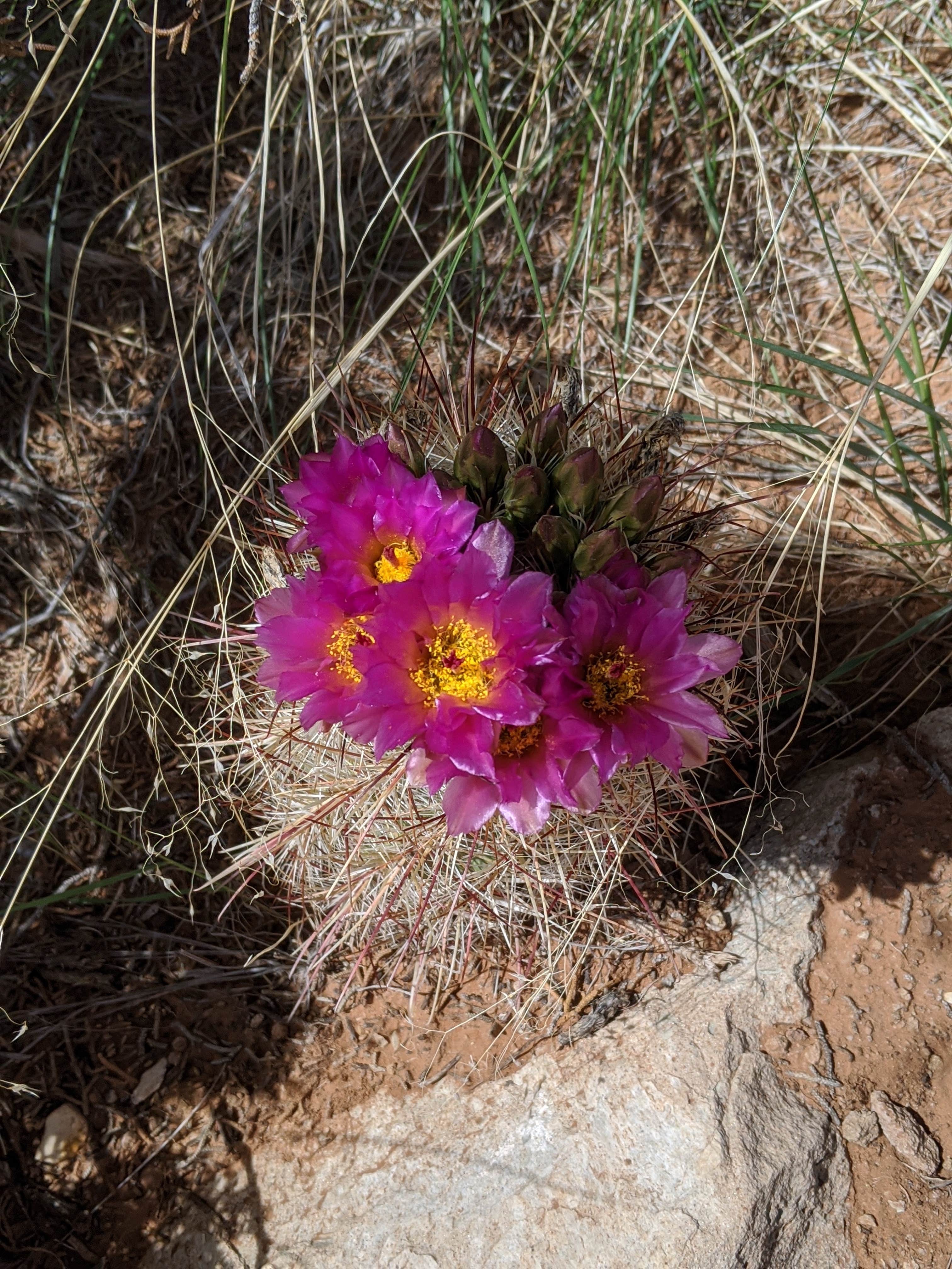 Camper-submitted photo at Basin Campground — Kodachrome Basin State Park near Bryce Canyon National Park