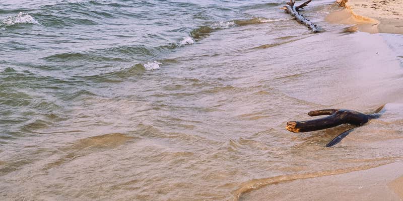 Camper submitted image from Port Crescent State Park Campground