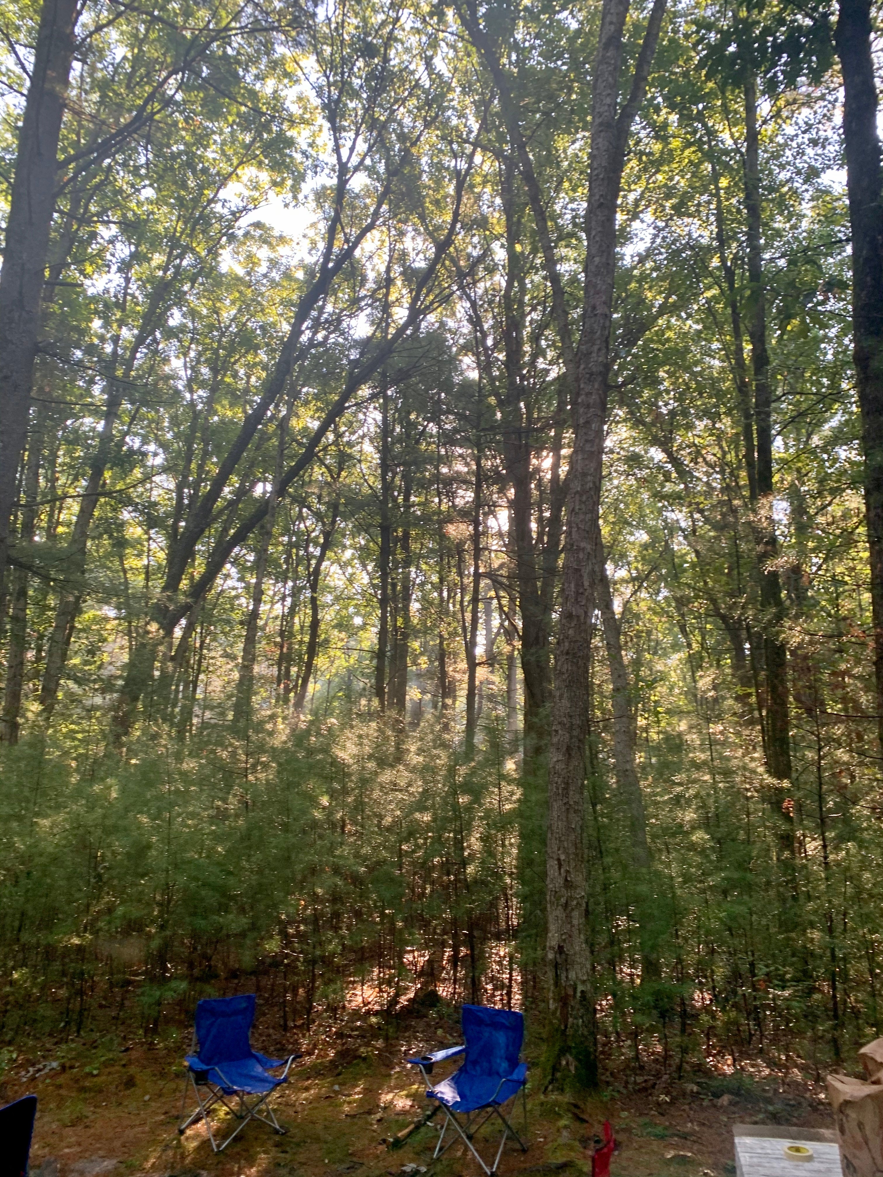 Camper submitted image from Castle Mound Campground — Black River State Forest - 1