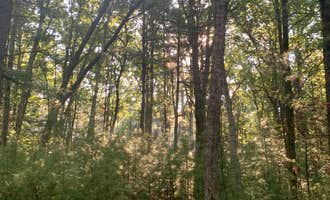 Camping near Lost Falls Campground: Castle Mound Campground — Black River State Forest, Black River Falls, Wisconsin