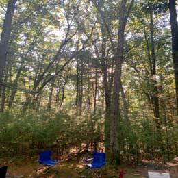 Castle Mound Campground — Black River State Forest